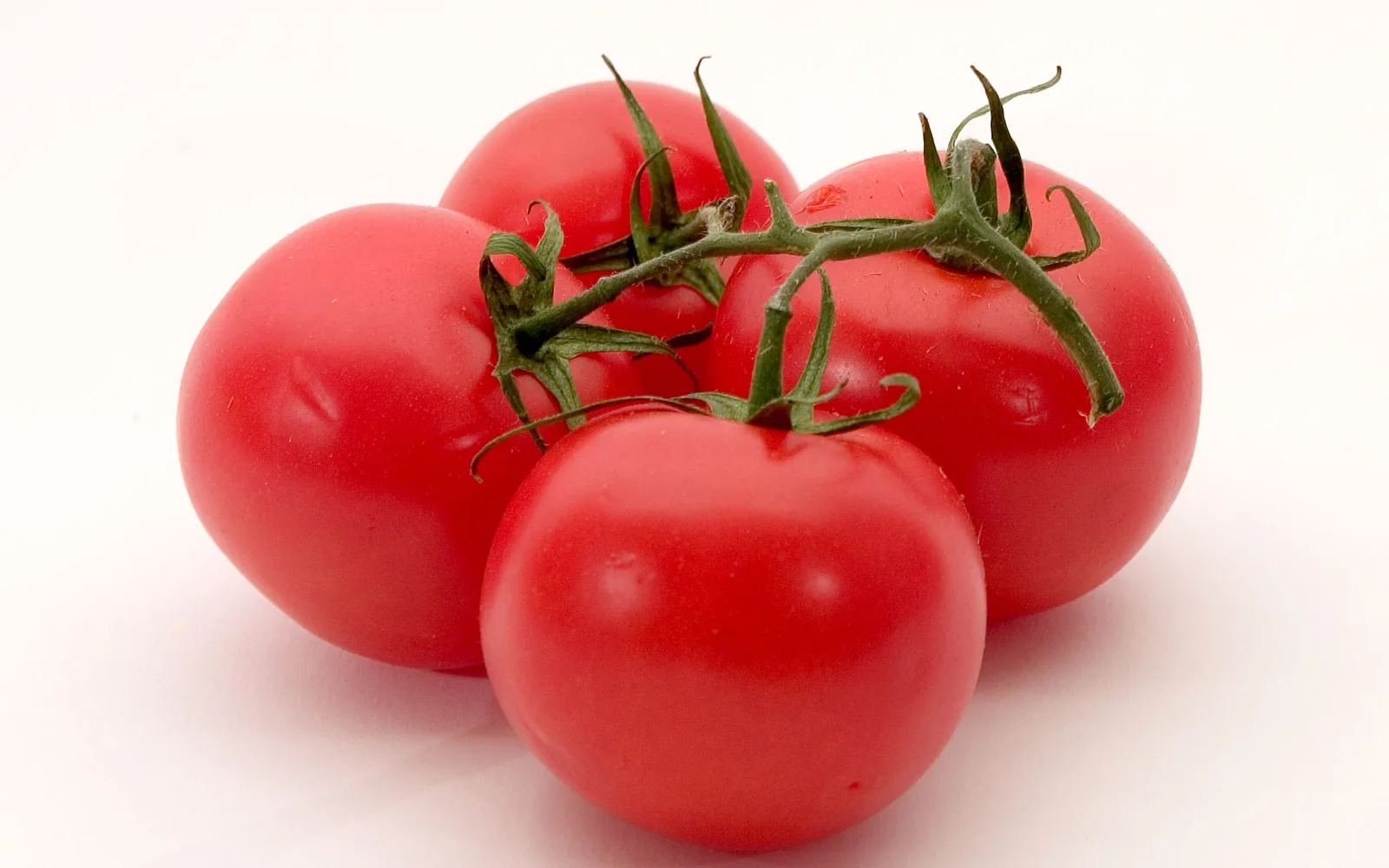 Fresh ripe tomato showing the fruit and cross-section from a California agricultural garden